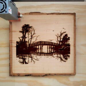 172582_wood-laser-1.jpg