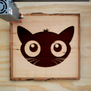 172625_wood-laser-1.jpg