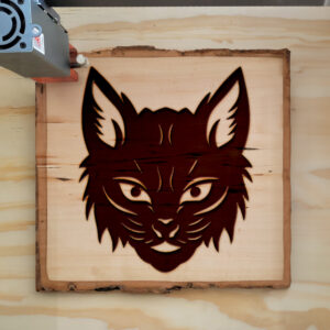 172633_wood-laser-1.jpg