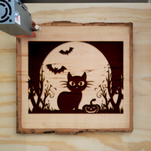 172639_wood-laser-1.jpg