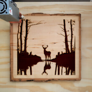 172751_wood-laser-1-1.jpg