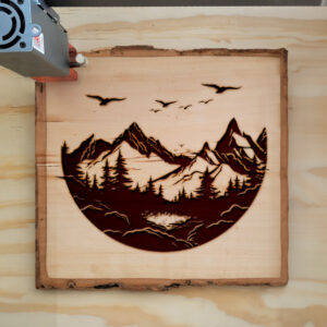 172759_wood-laser-1.jpg