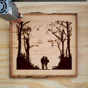 172799_wood-laser-1.jpg
