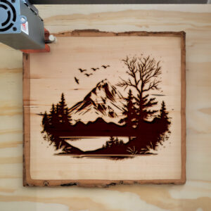 172811_wood-laser-1-1.jpg