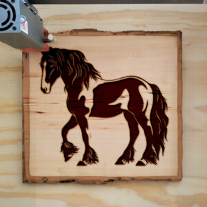 180920_wood-laser-1.jpg