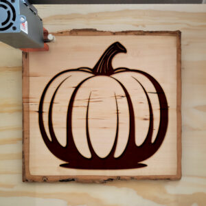 180932_wood-laser-1.jpg