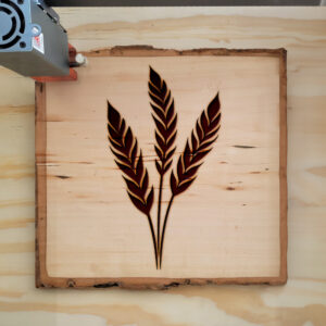 180936_wood-laser-1.jpg