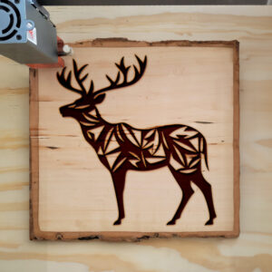 180942_wood-laser-1.jpg