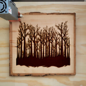 180954_wood-laser-1.jpg