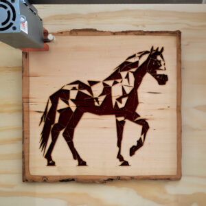 180964_wood-laser-1.jpg