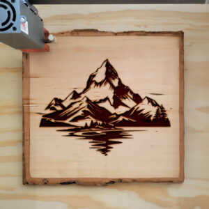 180998_wood-laser-1.jpg