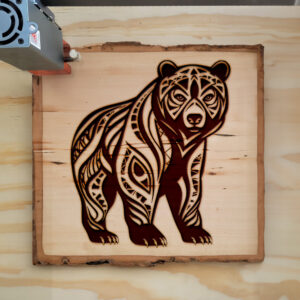 181022_wood-laser-1.jpg