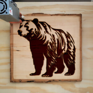 181024_wood-laser-1-1.jpg