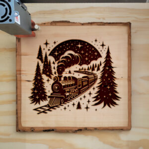 192374_wood-laser-1.jpg