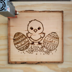 40020_wood-laser-1.jpg