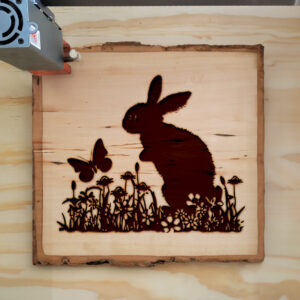 40036_wood-laser-1.jpg