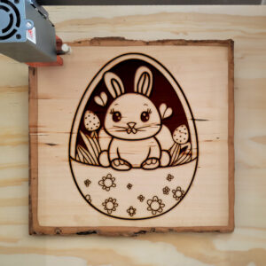 40054_wood-laser-1.jpg