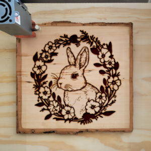 40128_wood-laser-1.jpg