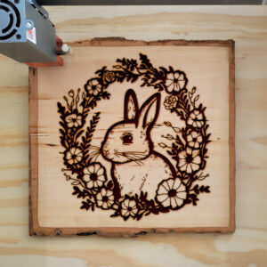 40136_wood-laser-1.jpg