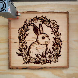 40140_wood-laser-1.jpg
