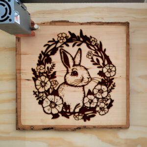 40142_wood-laser-1.jpg