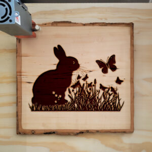 40156_wood-laser-1.jpg