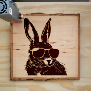 40170_wood-laser-1.jpg