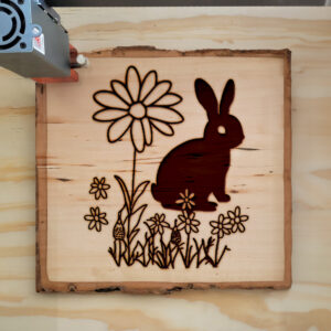 40182_wood-laser-1.jpg