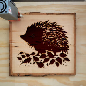 40538_wood-laser-1.jpg