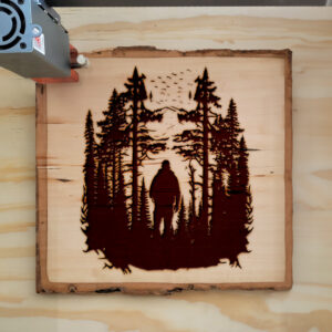 40610_wood-laser-1.jpg