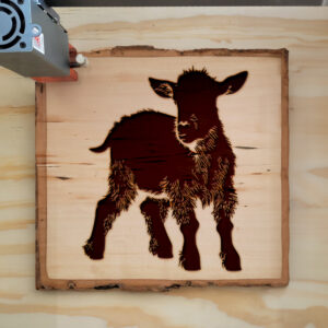 40626_wood-laser-1.jpg