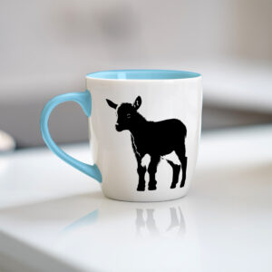 40630_mug-1.jpg