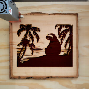 40639_wood-laser-1.jpg