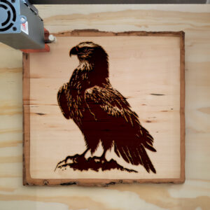 40653_wood-laser-1.jpg