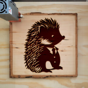 40695_wood-laser-1.jpg