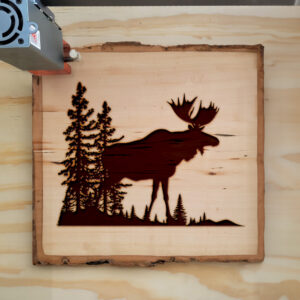 40727_wood-laser-1.jpg