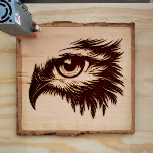40751_wood-laser-1.jpg