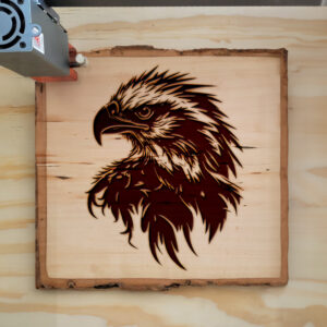 40755_wood-laser-1.jpg