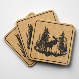 40763_coaster-1.jpg
