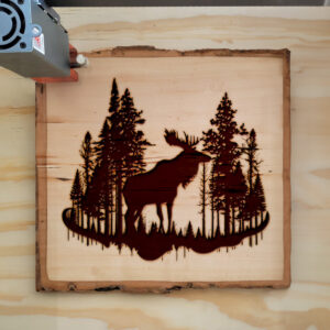 40763_wood-laser-1.jpg