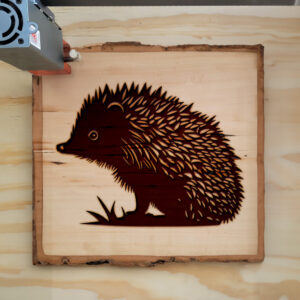 40773_wood-laser-1.jpg