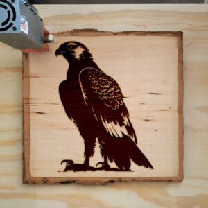 40777_wood-laser-1.jpg