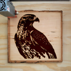 40781_wood-laser-1.jpg