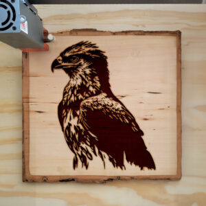 40783_wood-laser-1.jpg