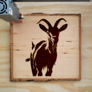 40791_wood-laser-1.jpg