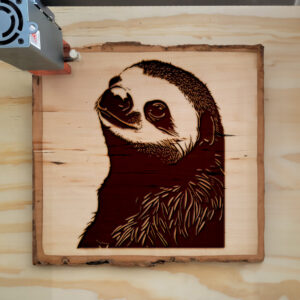 40793_wood-laser-1.jpg
