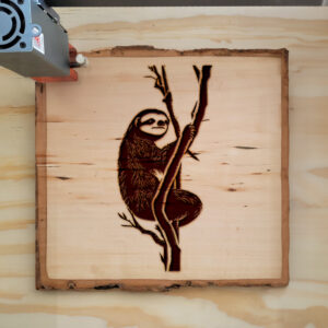 40795_wood-laser-1.jpg