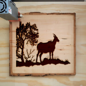40799_wood-laser-1.jpg