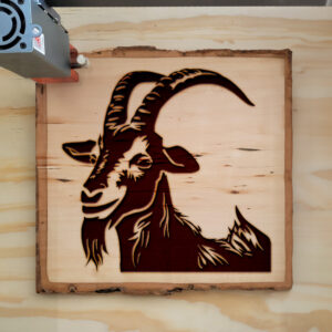 40805_wood-laser-1.jpg