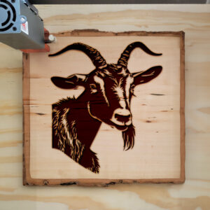 40813_wood-laser-1.jpg